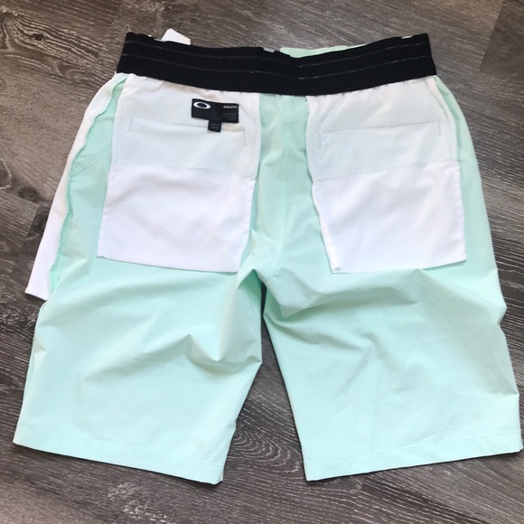 Oakley - Picture 14 of 16